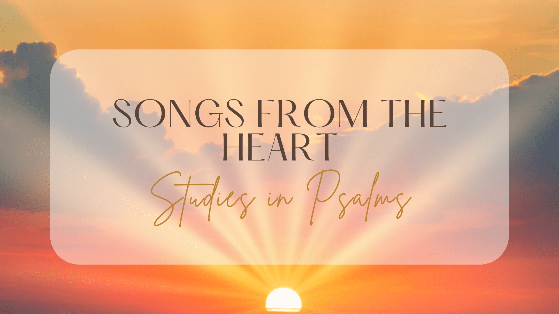 Read more about the article Darkness is my closest friend